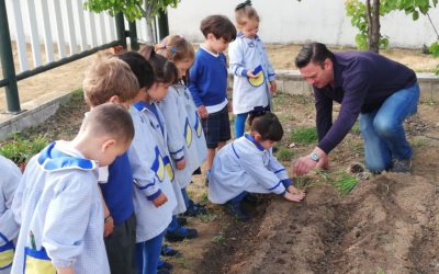 Huerto en Infantil