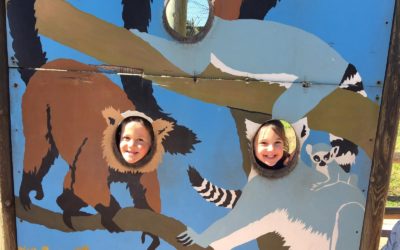 Excursión al Zoo Aquarium
