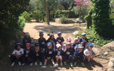 Excursión al Bosque Encantado