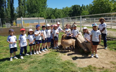 Visita a la Granja Escuela
