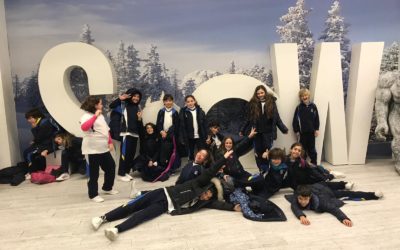 Excursión a Snow-Zone