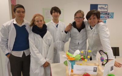 Proyecto Modelos Atómicos