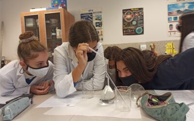 PRÁCTICAS DE LABORATORIO EN 3º DE LA ESO