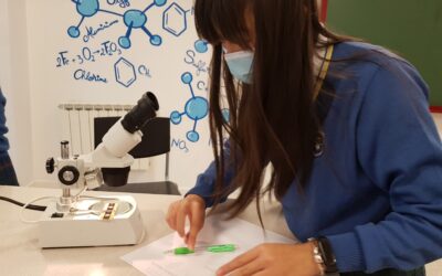 PRÁCTICAS CON INVERTEBRADOS EN 1º ESO