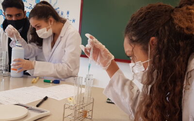 DETECCIÓN DE BIOMOLÉCULAS